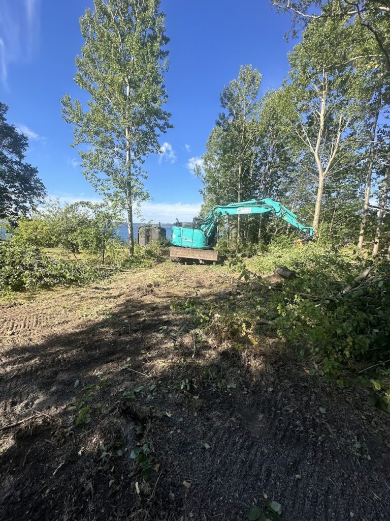 vättern jönköping träd buskar trädgård gräsmatta